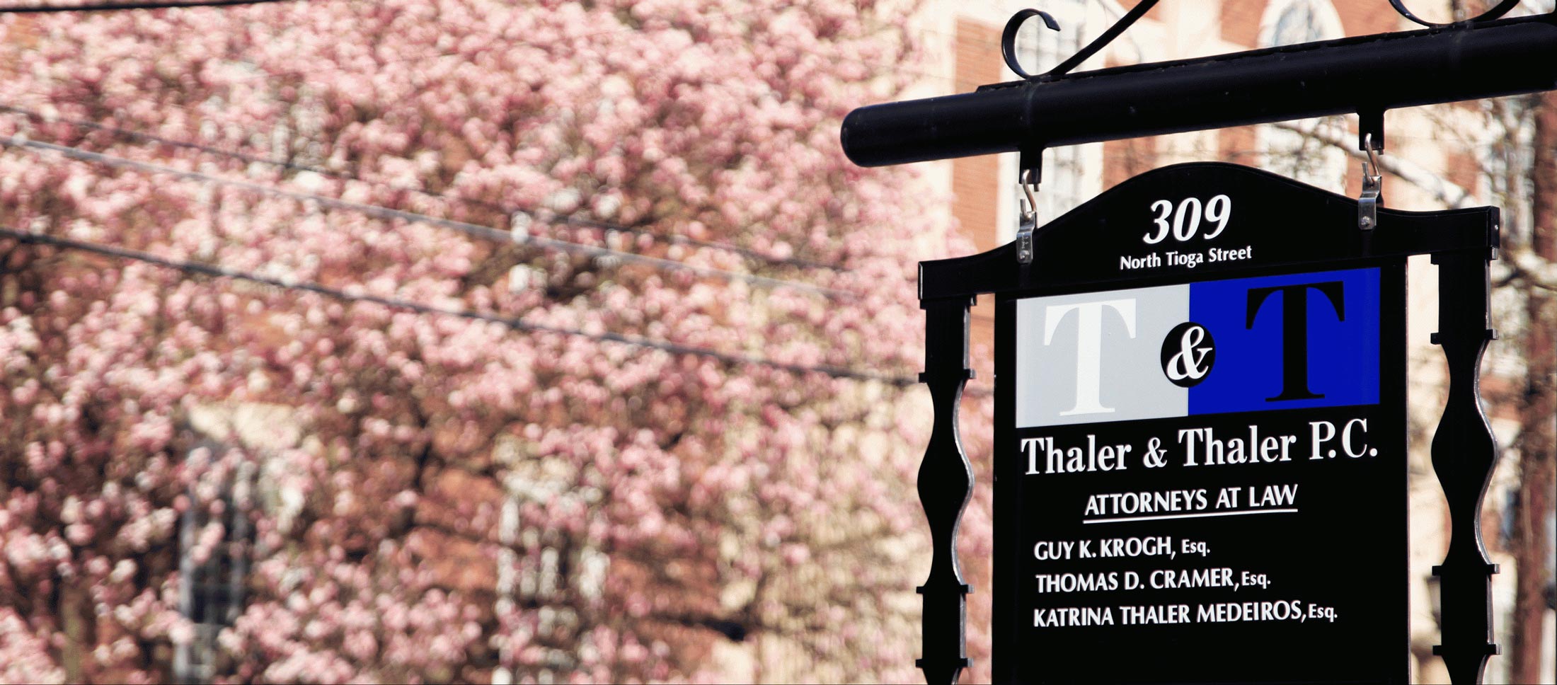 Thaler and Thaler P.C. signage with Spring time pink flowers tree in background. Text on sign is- 309 North Tioga Street T&T Thaler and Thaler P.C. Attorneys at law Guy K. Krogh, Esq., Thomas D. Cramer, Esq., Katrina Thaler Medeiros, Esq.